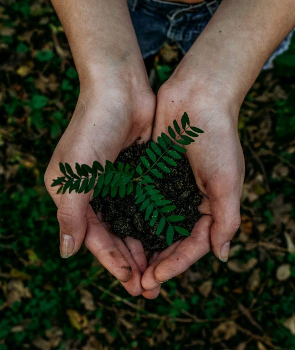 noah-buscher-x8ZStukS2PM-unsplash